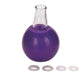 NIPPLE SUCKERS PURPLE SET
